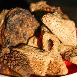 Medea's Bone Broth Bones-7812